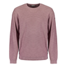 Heren Trui 27210101SN