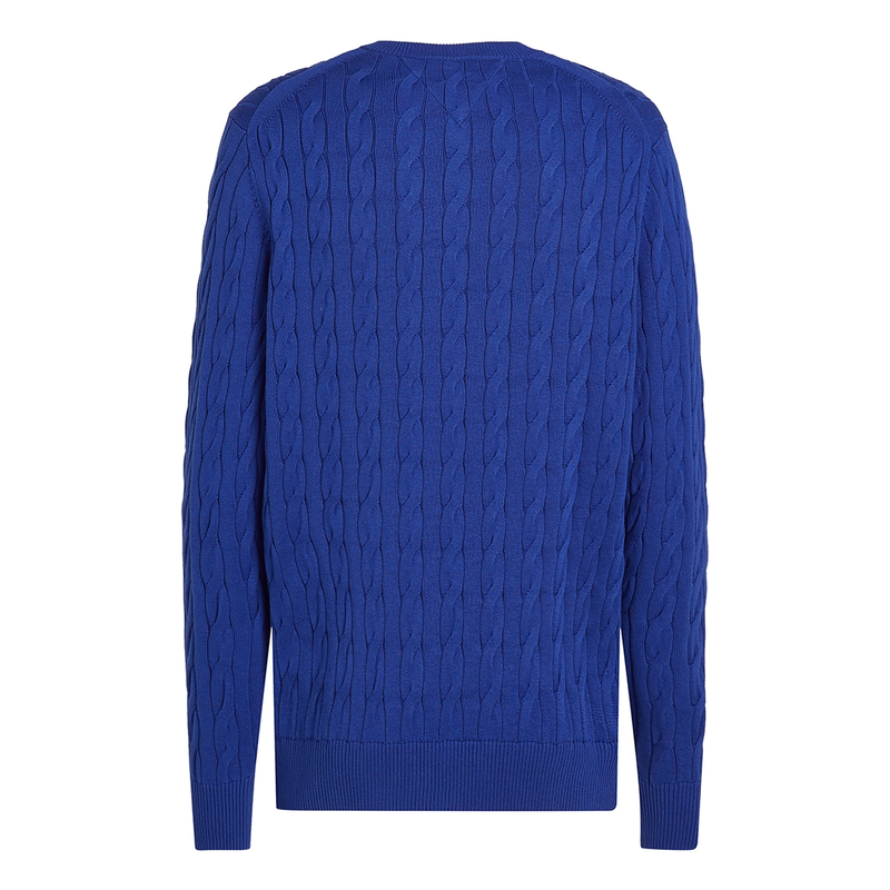 Heren Trui MW0MW33132D03 Tommy Hilfiger KOBALT