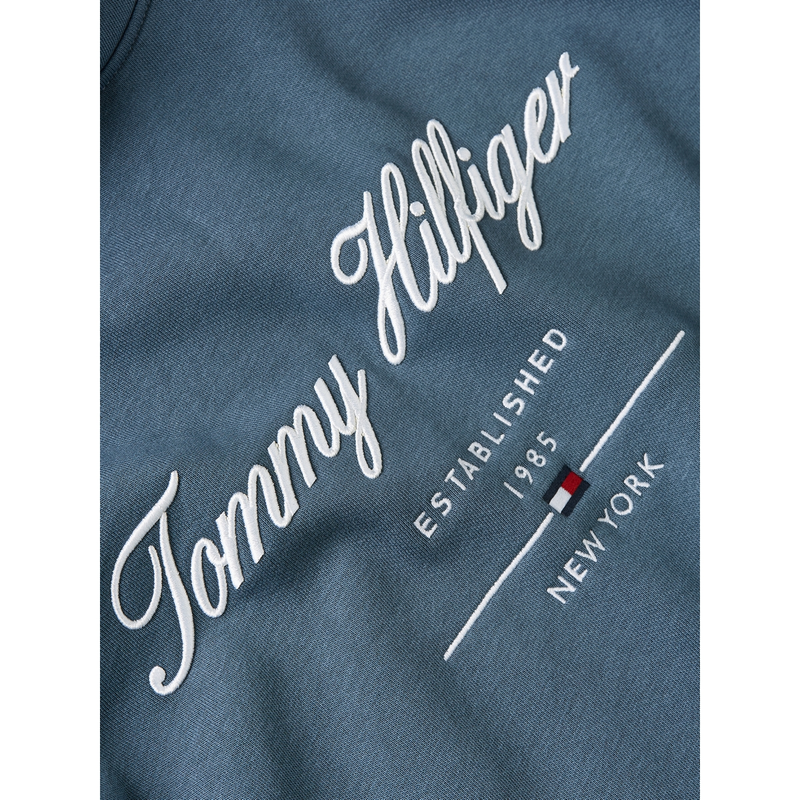 Heren Trui MW0MW33631DBZ Tommy Hilfiger MIDDEN BLAUW