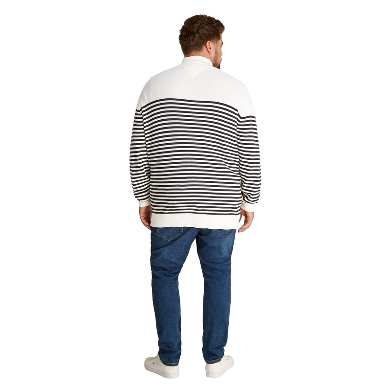 Heren Trui mw0mw39909 Tommy Hilfiger Big & Tall BLAUW DESSIN