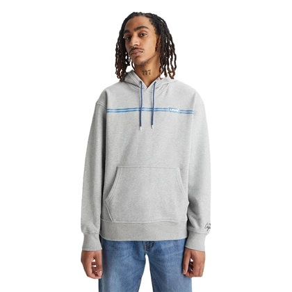 Heren Trui Relaxed Fit Graphic Hoodie