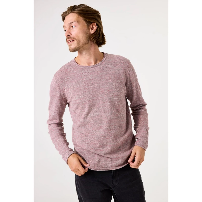 Heren Trui Z1086 Garcia ROZE