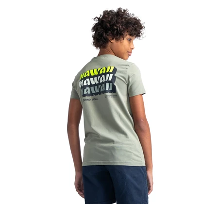 Jongens T-shirt B-1040-TSR649