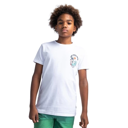 Jongens T-shirt B-1040-TSR675