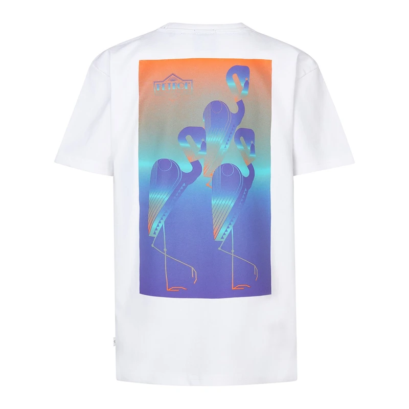 Jongens T-shirt B-1050-TSR648 Petrol Wit