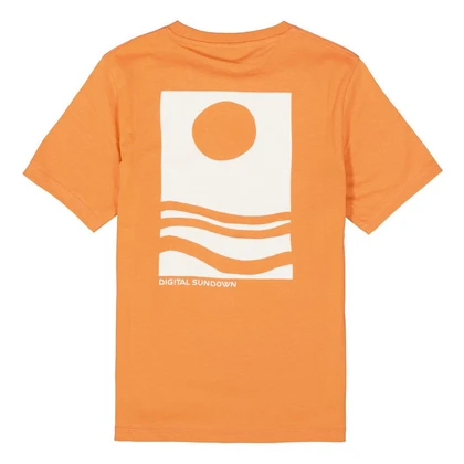 Jongens T-shirt D53407