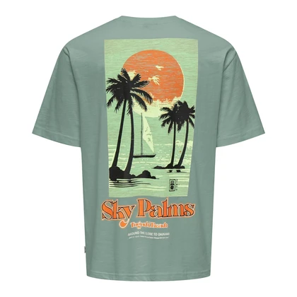 Jongens T-shirt OSJLUIS
