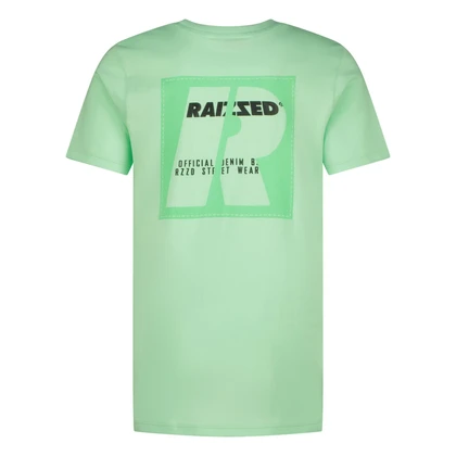 Jongens T-shirt R125KBN30014 Hoosic