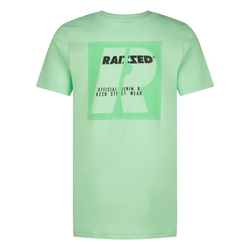 Jongens T-shirt R125KBN30014 Hoosic Raizzed GROEN