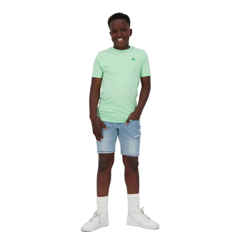 Jongens T-shirt R125KBN30014 Hoosic Raizzed GROEN