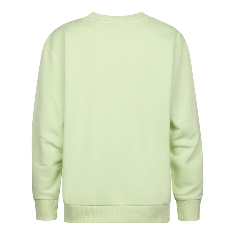 Jongens Trui B-1050-SWR352 Petrol LIME