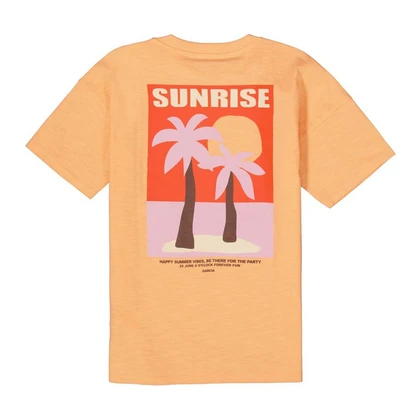 Meisjes T-shirt C52606