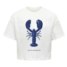 Meisjes T-shirt KOGKELLY