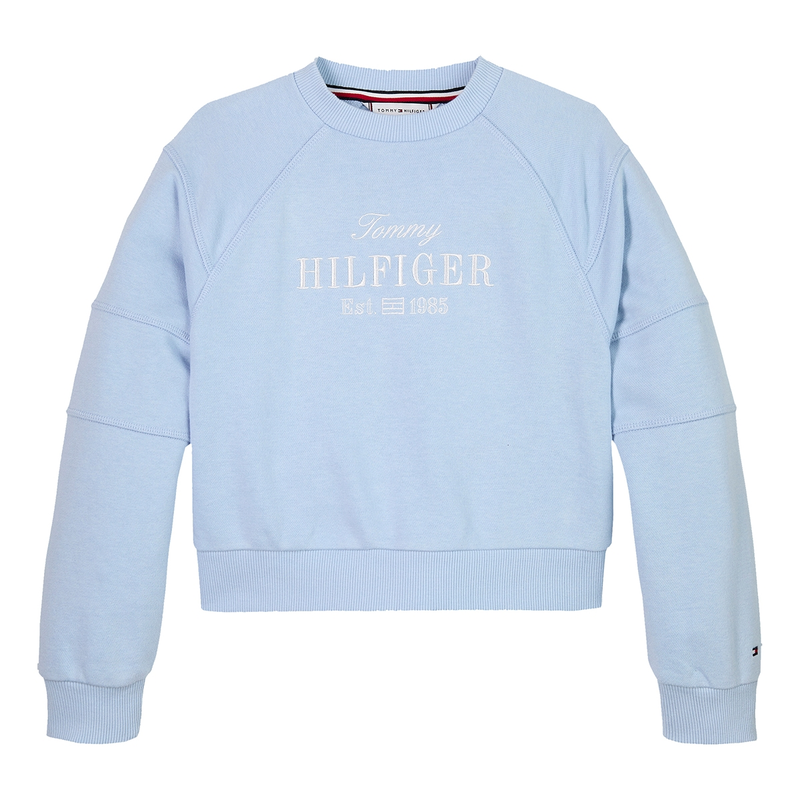 Meisjes Trui KG0KG08452C1O Tommy Hilfiger BLEU